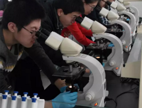 整合科学——培养科研领军人才